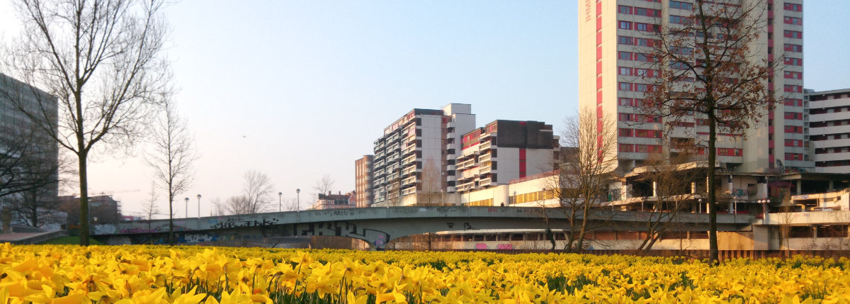 Ihme Zentrum RdL dummy slider