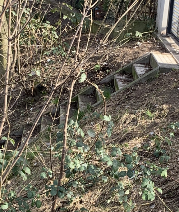 Putzmunter_2022_Leine Ufer sauber