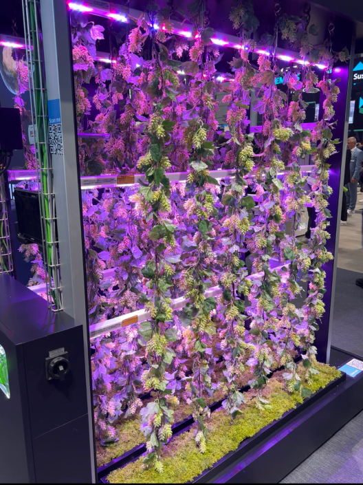 BGT_Hannover Messe 2024_02